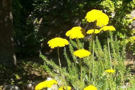 B&B Villaggio Sole Sulmona Dış mekan fotoğraf